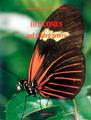 Books : Holzinger, H. & R.: Heliconius and related genera.