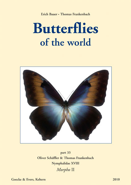 Butterflies of the world : Bauer & Frankenbach: 33. Schäffler & Frankenbach: Morpho II. (Morpho herc